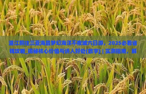 湛江前往三亚海昌梦幻海洋不夜城六日游