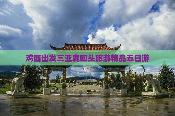 鸡西出发三亚鹿回头旅游
