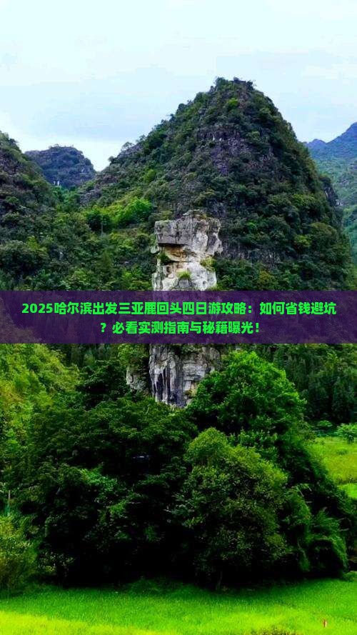哈尔滨出发三亚鹿回头四日游