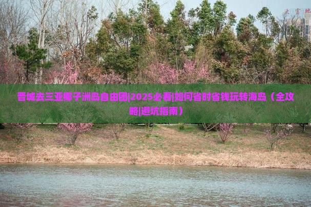 晋城去三亚椰子洲岛自由团