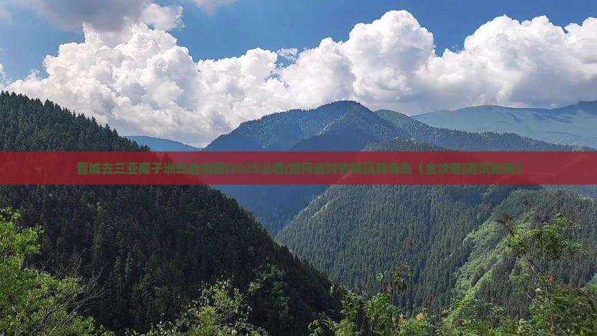 晋城去三亚椰子洲岛自由团