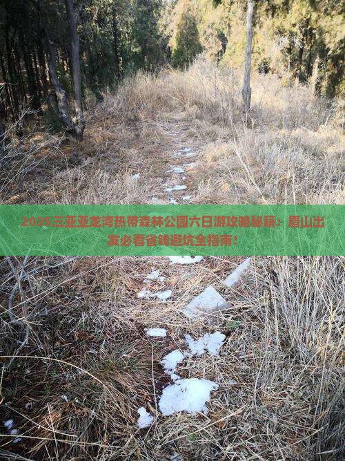 眉山去三亚亚龙湾热带森林公园六日游