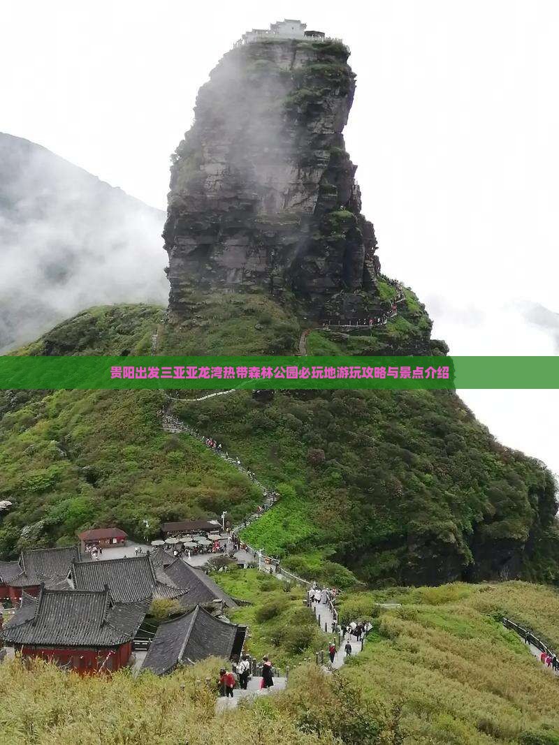 贵阳出发三亚亚龙湾热带森林公园必玩地