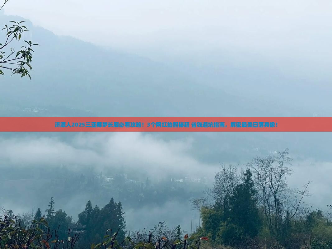 济源去三亚椰梦长廊旅游网红地点