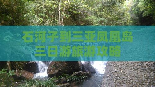石河子出发三亚凤凰岛三日游