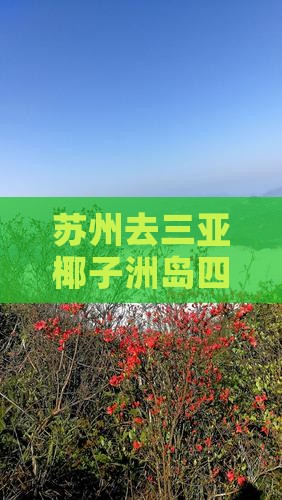 苏州去三亚椰子洲岛四日游 苏州去三亚椰子洲岛四日游