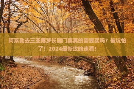 阿泰勒去三亚椰梦长廊门票