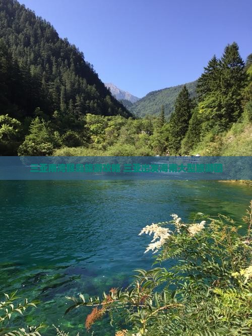 张掖出发三亚南湾猴岛大型旅游团