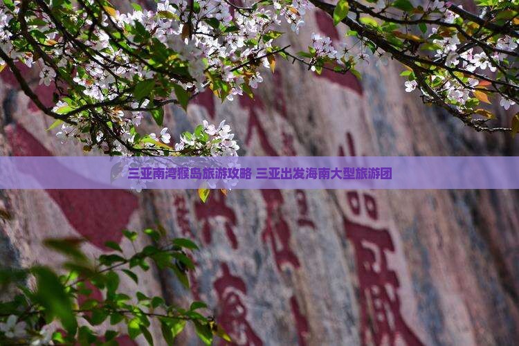 张掖出发三亚南湾猴岛大型旅游团