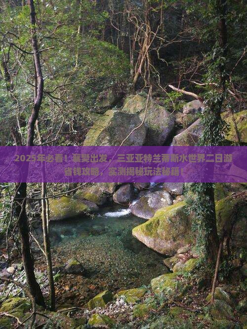 襄樊前往三亚亚特兰蒂斯水世界二日游