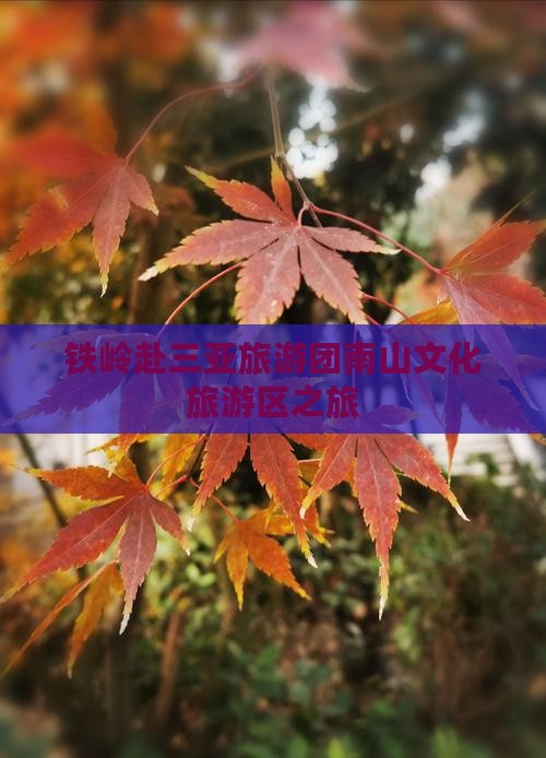 铁岭去三亚南山文化旅游区大型旅游团