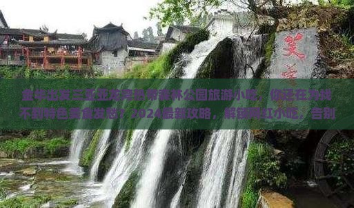 金华出发三亚亚龙湾热带森林公园旅游小吃