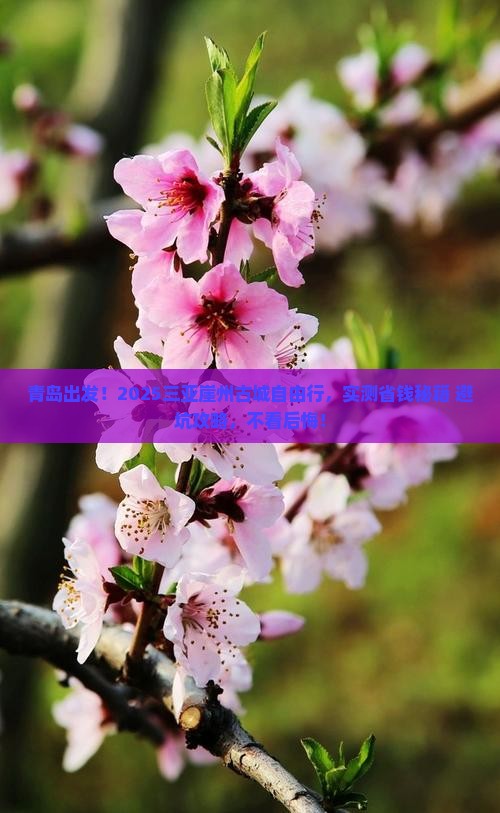 青岛去三亚崖洲古城自由行
