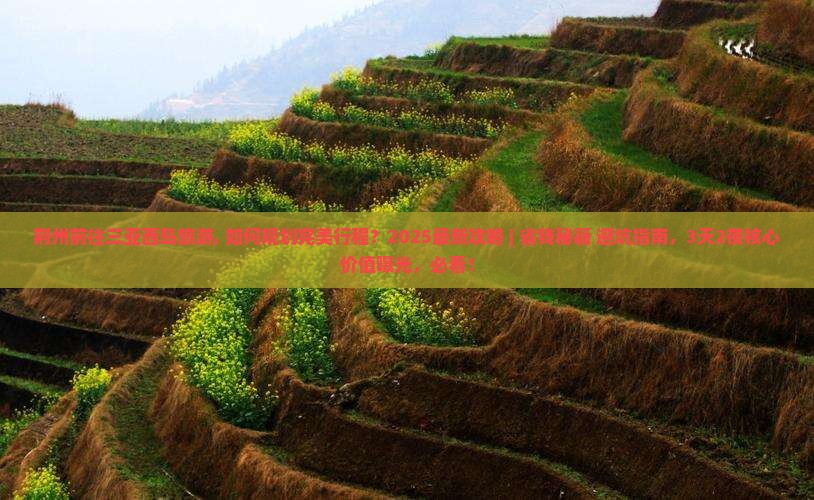 荆州前往三亚西岛旅游