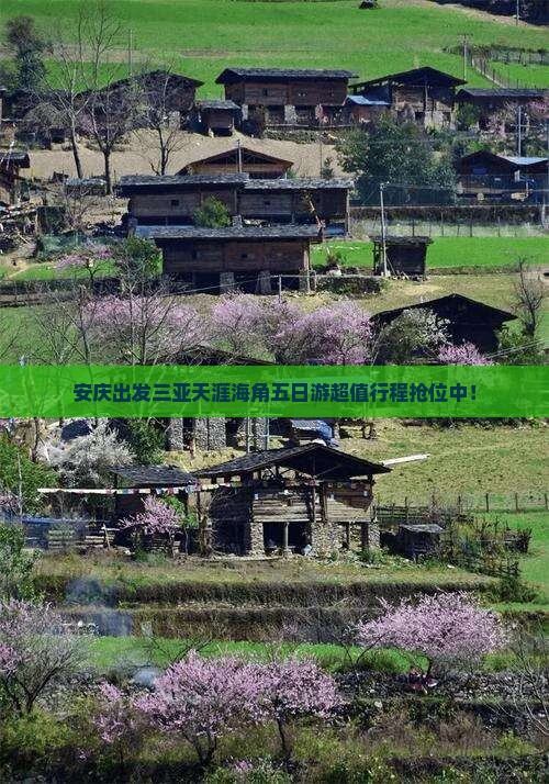 安庆出发三亚天涯海角五日游