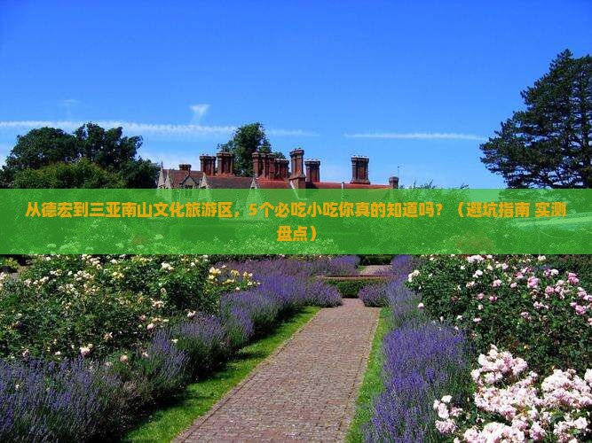 德宏去三亚南山文化旅游区旅游小吃