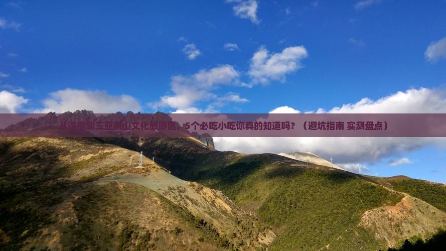 德宏去三亚南山文化旅游区旅游小吃