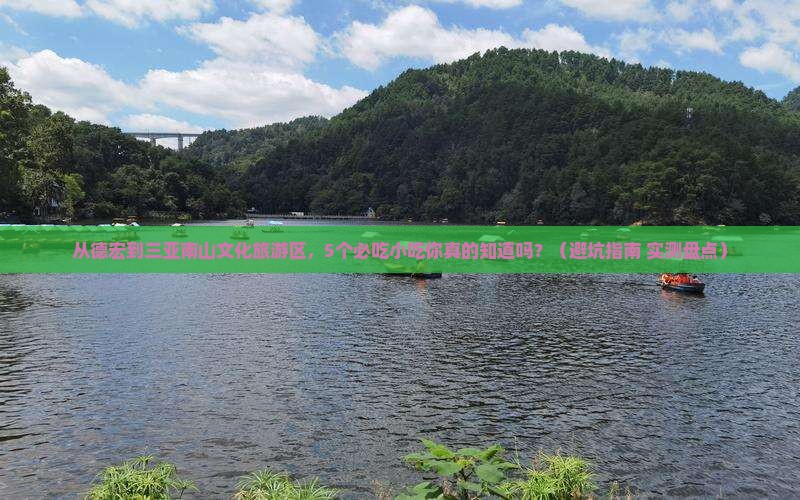 德宏去三亚南山文化旅游区旅游小吃