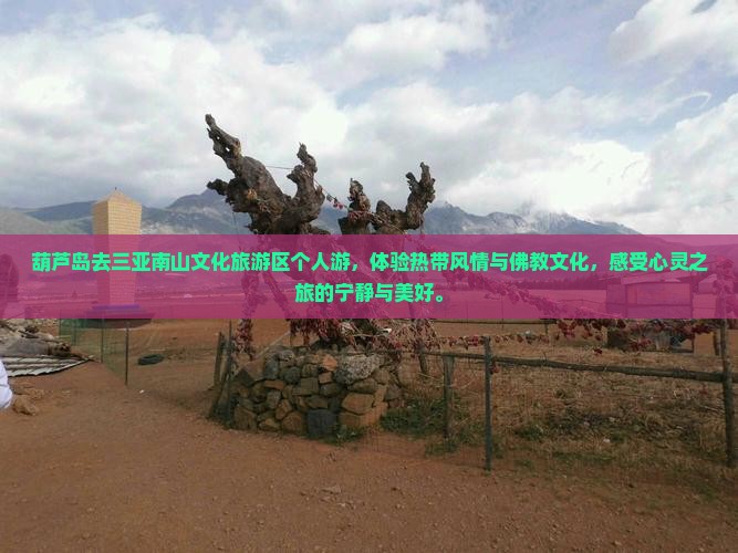葫芦岛去三亚南山文化旅游区个人游