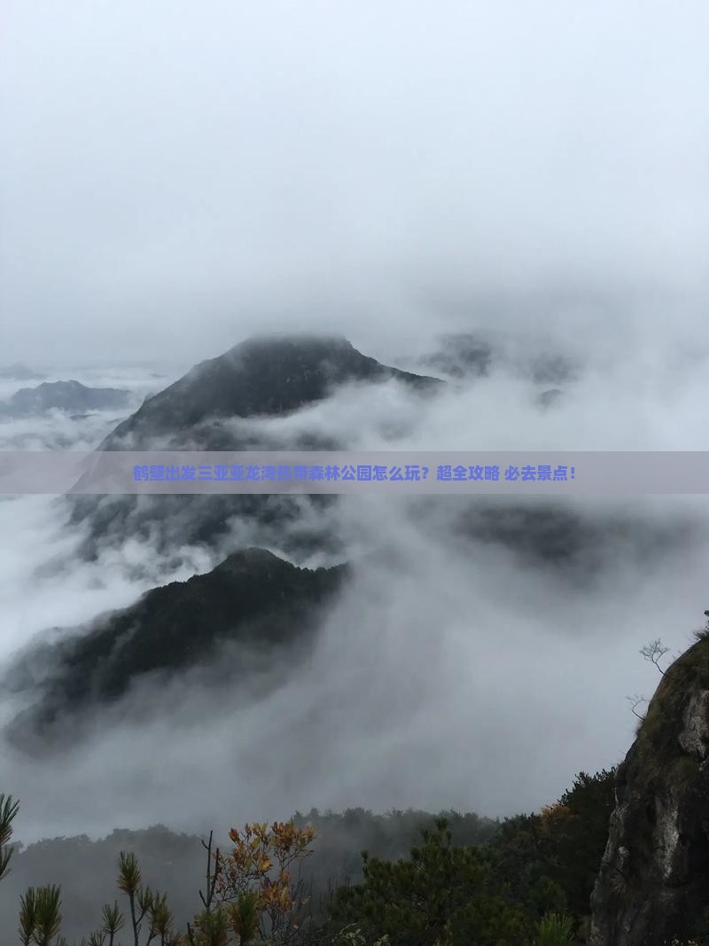 鹤壁出发三亚亚龙湾热带森林公园旅行社