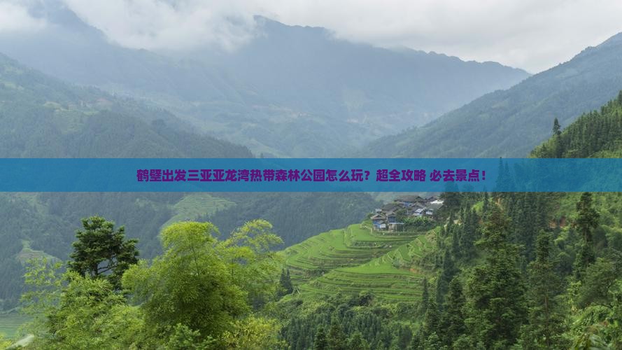 鹤壁出发三亚亚龙湾热带森林公园旅行社