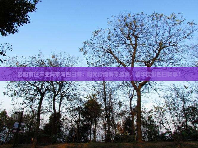 洛阳前往三亚海棠湾四日游