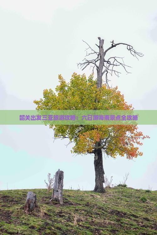韶关前往三亚亚龙湾六日游