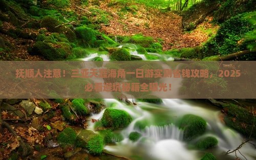 抚顺去三亚天涯海角一日游