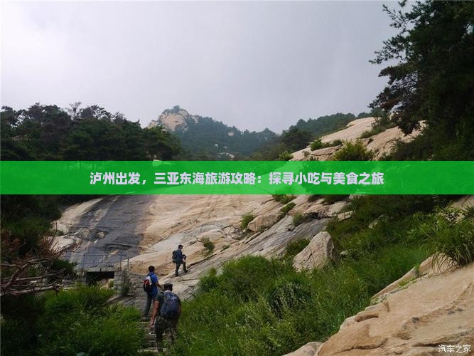 泸州去三亚小东海旅游小吃