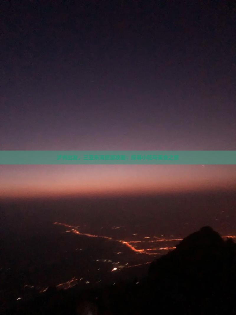 泸州去三亚小东海旅游小吃