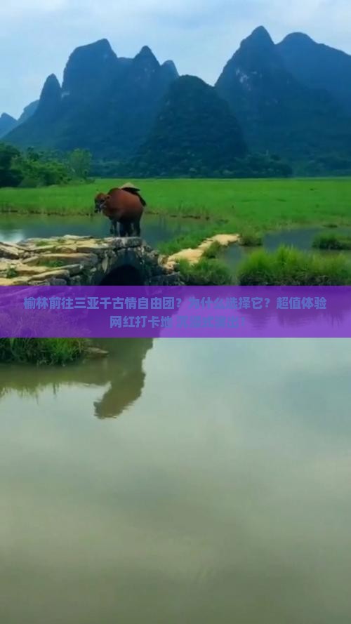 榆林前往三亚千古情自由团
