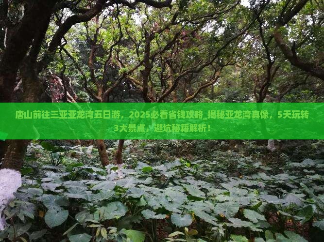 唐山前往三亚亚龙湾五日游