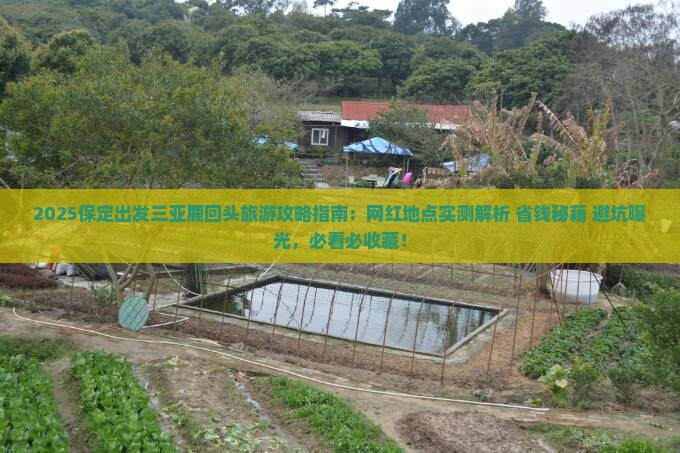 保定出发三亚鹿回头旅游网红地点