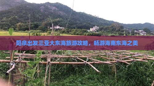 阳泉前往三亚大东海团体旅游