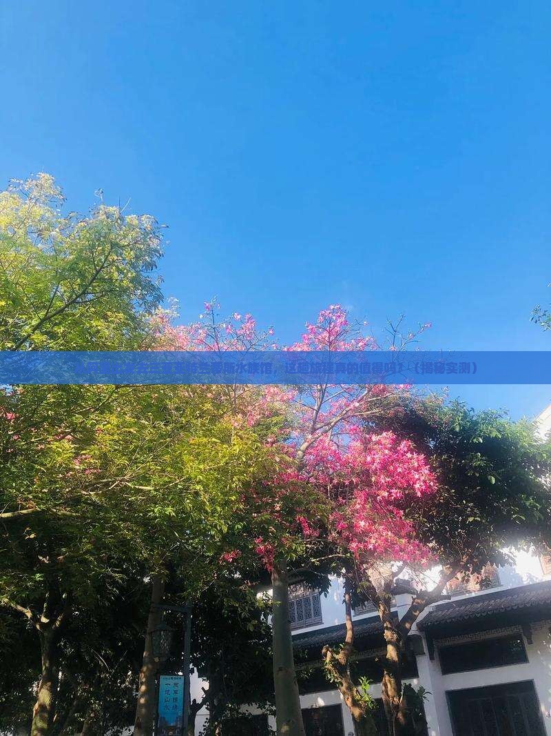 阿里出发三亚亚特兰蒂斯水族馆必玩地
