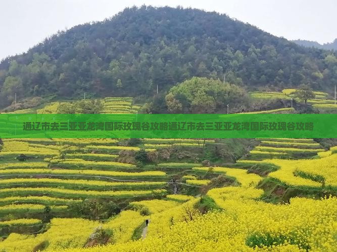 通辽市去三亚亚龙湾国际玫瑰谷攻略