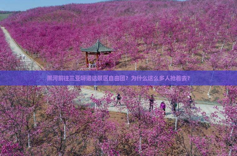 黑河前往三亚呀诺达景区自由团