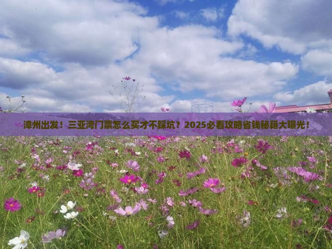 漳州出发三亚三亚湾门票
