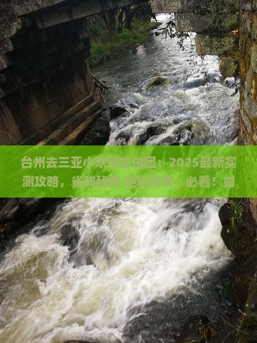 台州去三亚小东海自由团