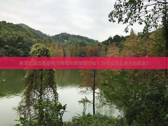 本溪出发三亚亚特兰蒂斯水族馆旅行社