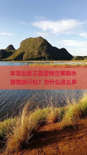本溪出发三亚亚特兰蒂斯水族馆旅行社