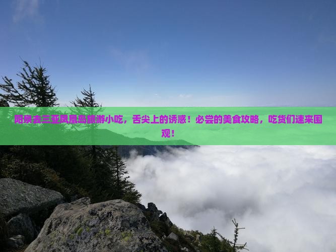 阳泉去三亚凤凰岛旅游小吃