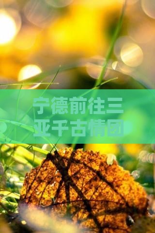宁德前往三亚千古情团体旅游