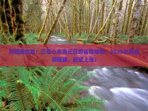 黔西南前往三亚小东海三日游