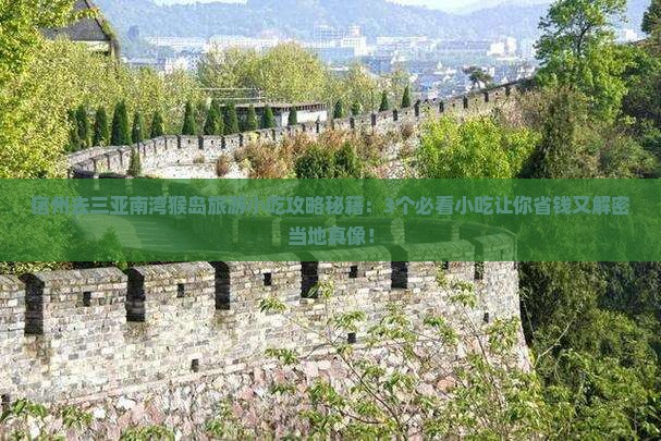 宿州去三亚南湾猴岛旅游小吃