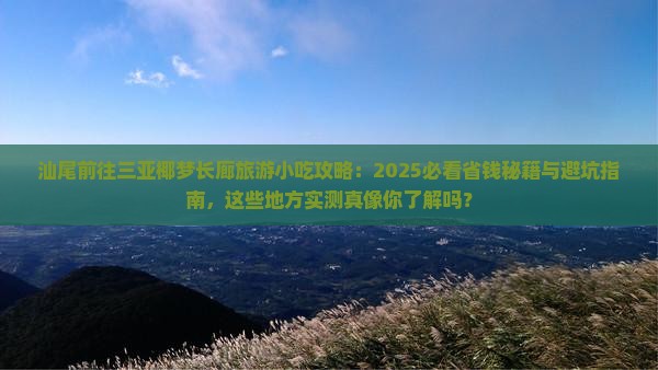 汕尾前往三亚椰梦长廊旅游小吃 汕尾前往三亚椰梦长廊旅游小吃