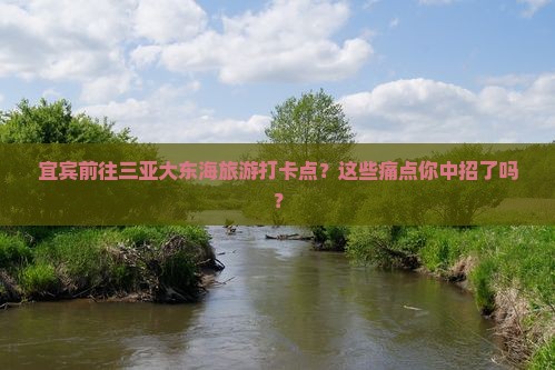宜宾前往三亚大东海旅游打卡点