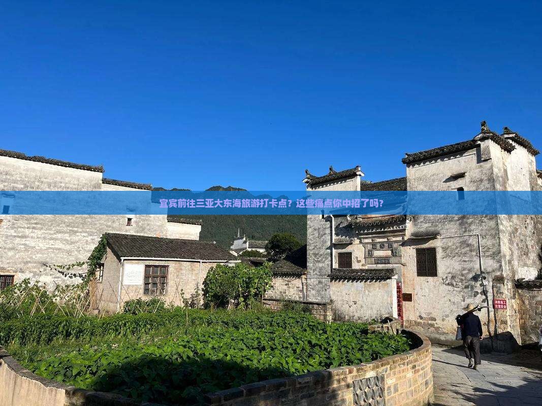 宜宾前往三亚大东海旅游打卡点