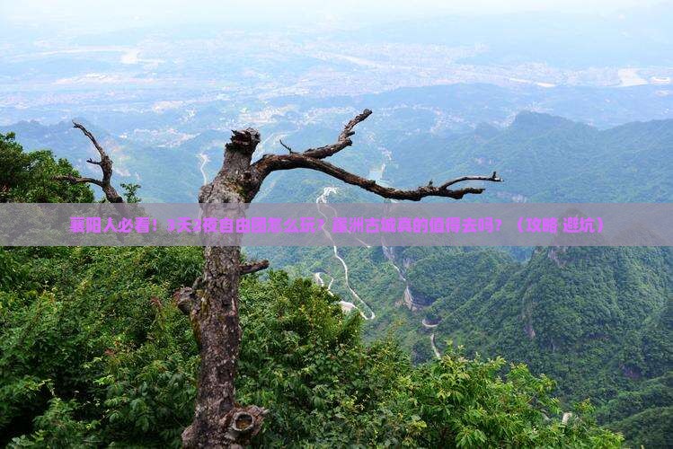 襄阳前往三亚崖洲古城自由团