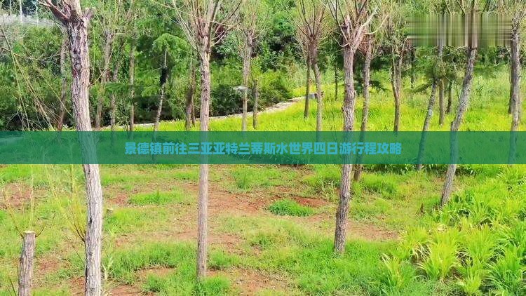 景德镇前往三亚亚特兰蒂斯水世界四日游